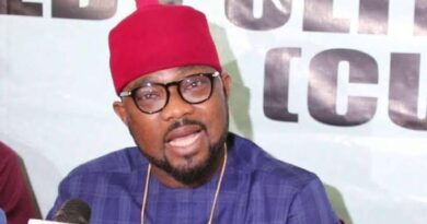 Ikenga: CUPP  Petitions Presidency Over Non- Action By The Police 