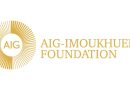 Aig-Imoukhuede Foundation Announces Opening Of Applications For AIG
