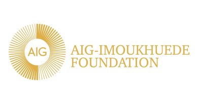 Aig-Imoukhuede Foundation Announces Opening Of Applications For AIG
