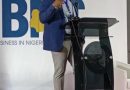 ‘Nigeria Is The Tropical Savannah, Not Silicon Valley’, Says Interswitch Founder, Mitchell Elegbe