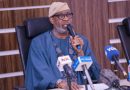 Alake Calls For United African Front For Greater Value From Global Minerals Economy
