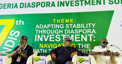 Nigeria’s N5 Billion Creative Industry, A Goldmine For Diaspora Investment- Doyle