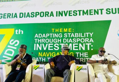 Nigeria’s N5 Billion Creative Industry, A Goldmine For Diaspora Investment- Doyle