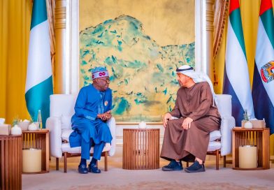 Nigeria Reaffirms Commitment To Global Sustainability At Abu Dhabi