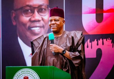 No Link Between VP Shettima’s Remarks At Book Launch And Certain Media Reports-Presidency