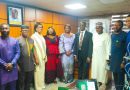 Nigerians In Diaspora To Enjoy Tax Holidays, Other Incentives- Taiwo Oyedele
