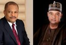 Damagum, Anyanwu Are ‘Undertakers’, They’ll Bury PDP- Udeh-Okoye