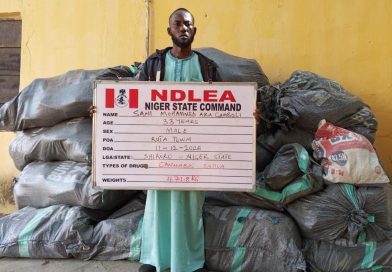 Fleeing Bandits’ Drug Supplier ‘Gamboli’ Arrested In Niger  ….As NDLEA Arrests Mother And Child Over 1,187 Kilogrammes Of Skunk Seizure In Ondo