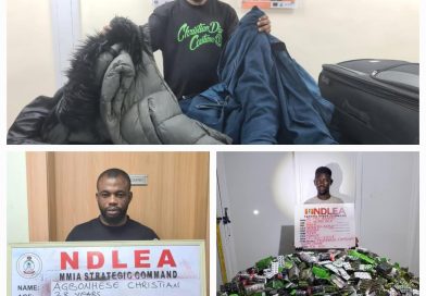 NDLEA Foils Drug Smuggling Attempts At Lagos Airport, Seizes Large Consignments Across Nigeria