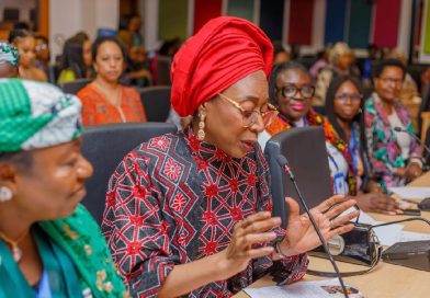 UN Women, Diplomats, Nollywood Stars Intensify Push For Special Seats Bill With New Advocacy Film