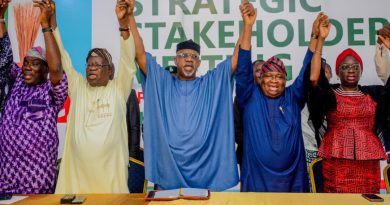2027: Ogun Will Deliver 95% Of Votes For Tinubu, Says Abiodun